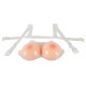 Breasts with Straps - Cottelli ACCESSOIRES