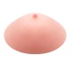BAILE - True Breast - Baile
