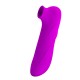 PRETTY LOVE - MAGIC FLUTE USB 12 Sunctions - Pretty Love