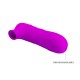 PRETTY LOVE - MAGIC FLUTE USB 12 Sunctions - Pretty Love