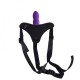 Cintura regolabile strap-on purpe - Toyz4lovers