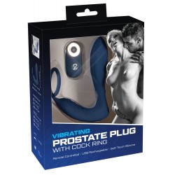 Vibrating Prostate Plug with C - You2Toys