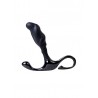 Prostaatmassager van Divine Touch - ShotsToys