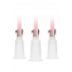 Clitoral & Nipple Pump Set Medium - Rose Gold - Pumped