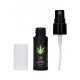 CBD Cannabis Delay Spray - 15 ml - Pharmquests