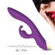 Bonnie purple - B - Series Joy
